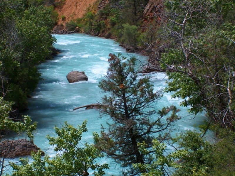 The river Aksu in Aksu-Zhabagly reserve. 