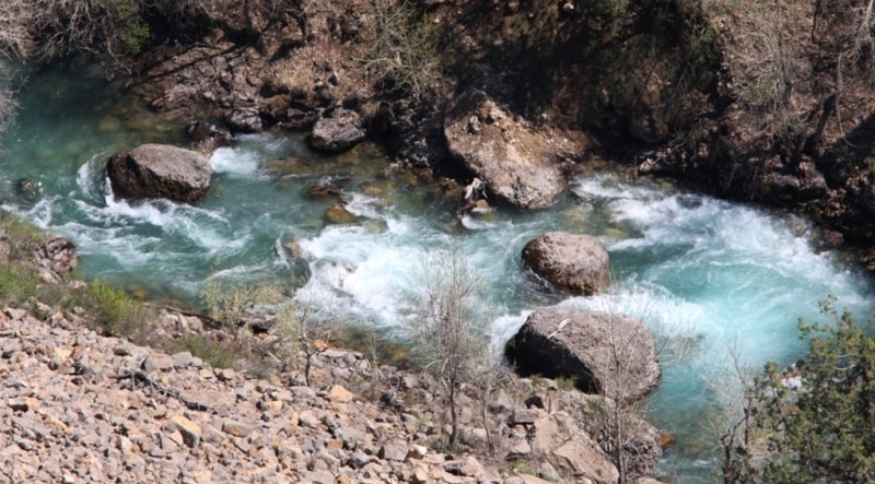 The river Aksu in Aksu-Zhabagly reserve. 