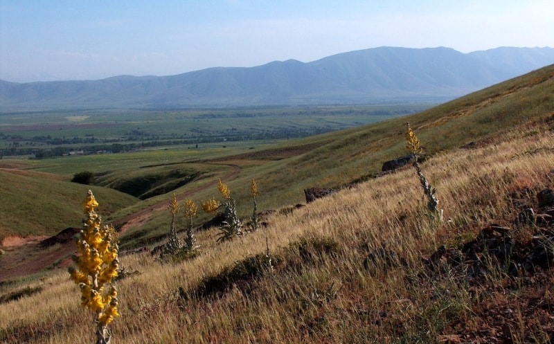 Around Aksu-Zhabagly reserve.