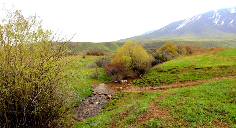 Koksai Gorge reserve Aksu-Jabagly.