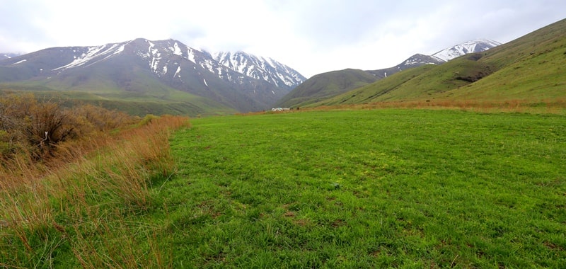 Koksai Gorge reserve Aksu-Jabagly.