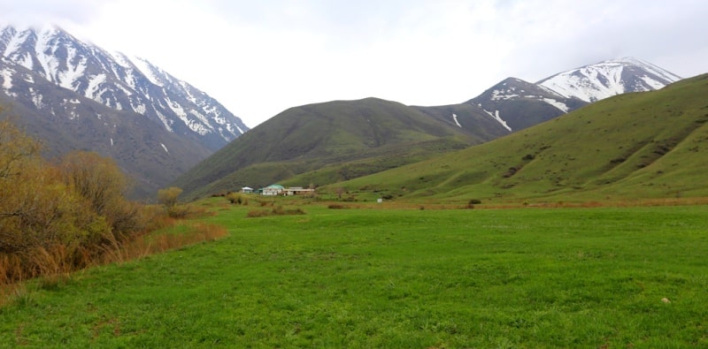 Koksai Gorge reserve Aksu-Jabagly.