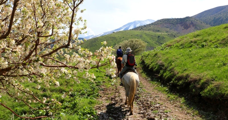 Прогулка на лошадях в заповеднике Аксу-Жабаглы в ущелье Киши-Каинды.