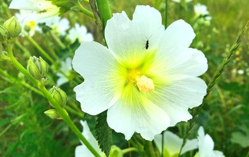 Natural sights of the Almaty reserve.