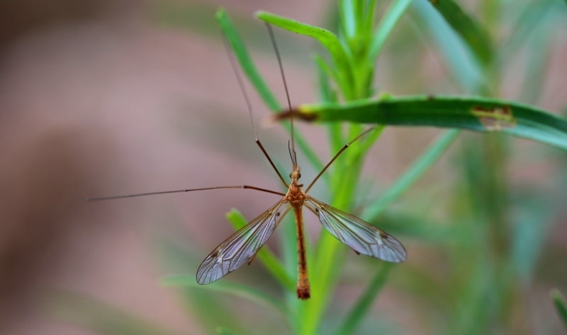 Natural sights of the Almaty reserve.