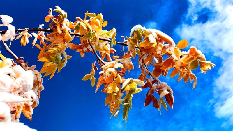 Natural sights of the Almaty reserve.