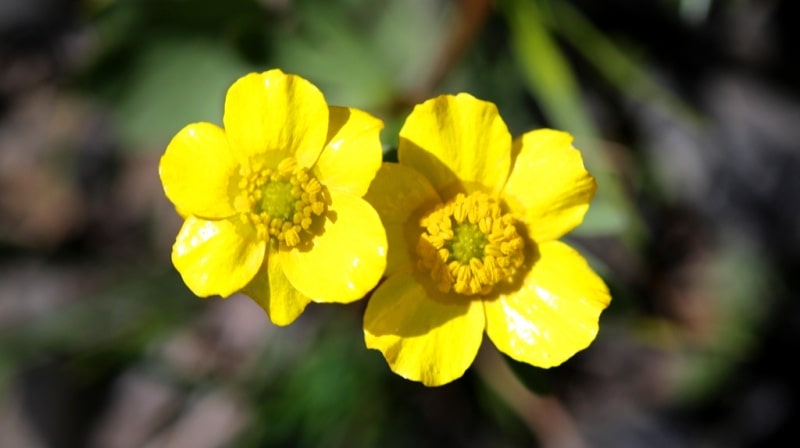 Natural sights of the Almaty reserve.