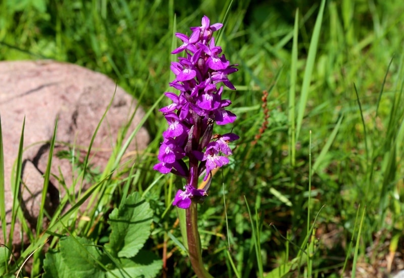 Natural sights of vicinities of the river Middle Talgar.