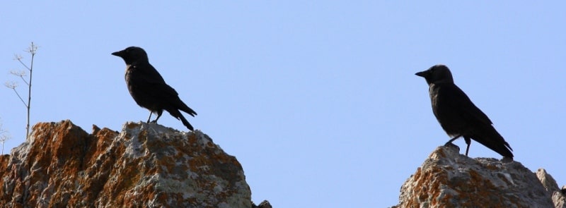 Natural sights of the Talgar gorge.