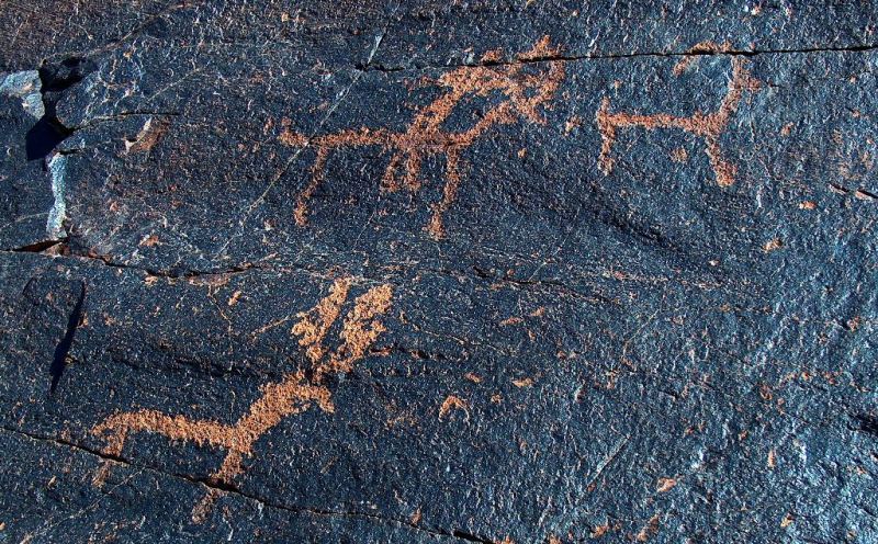 Petroglyphs in Terekty gorge in national park Altyn-Emel.