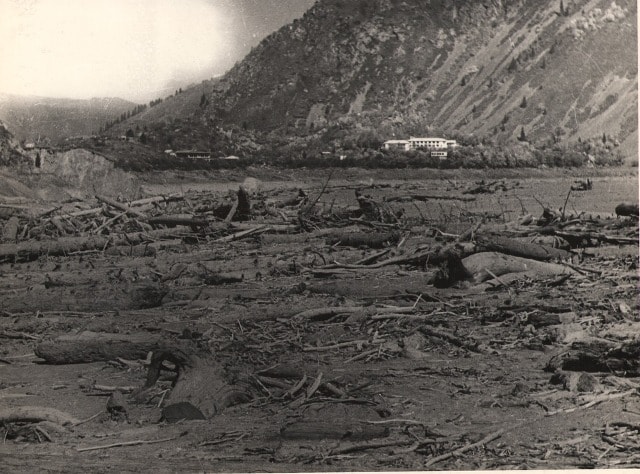 Деревья принесенные на озеро Иссык, во время селя 7 июля 1963 года, по реке Иссык.
