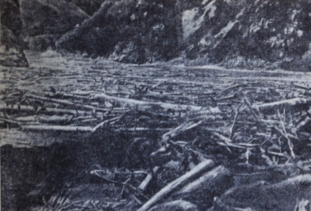 Обломки леса на дне озера Иссык после селя 1963 года.