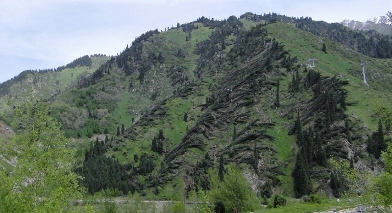 Ураган в горах под Алматы в мае 2011 года.