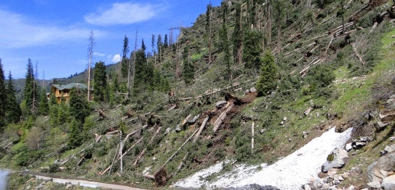 Ураган в горах под Алматы в мае 2011 года.