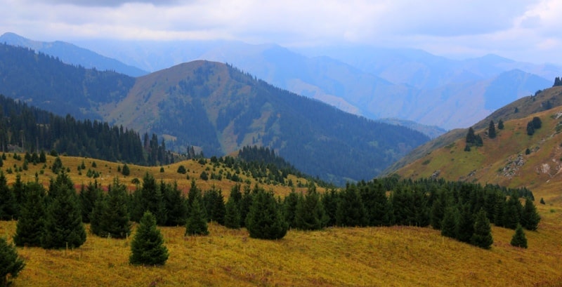 Valley Kokzhaylyau.