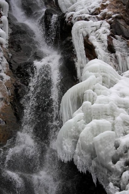 Falls Bear in the winter in the Turgen gorge.