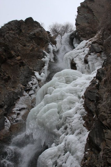 Falls Bear in the winter in the Turgen gorge.