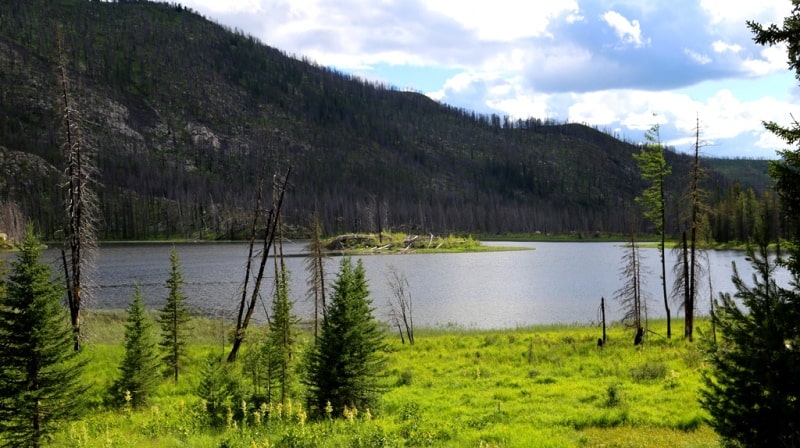 Lake Arasan and its environs.