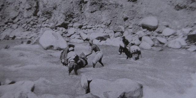 Преодоление препятствий при переходе через горную реку. Фотография конца XX века.