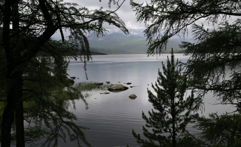 The Bukhtarminskoe lake and his environs.