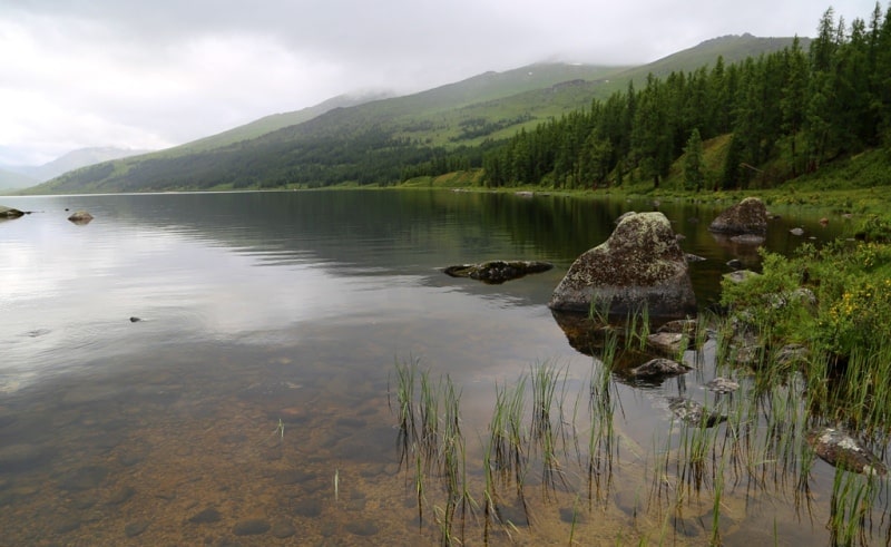 The Bukhtarminskoe lake and his environs.