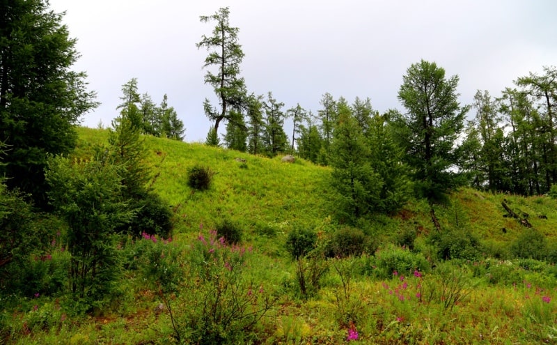 The valley Chindagatuy and environs.