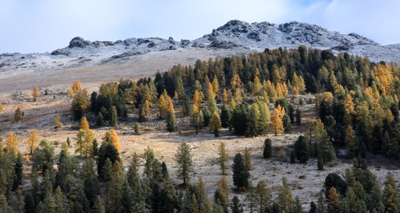 Rakhmanov vicinities mineral spings.