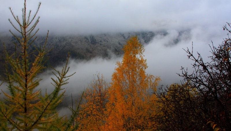 Rakhmanov vicinities mineral spings.