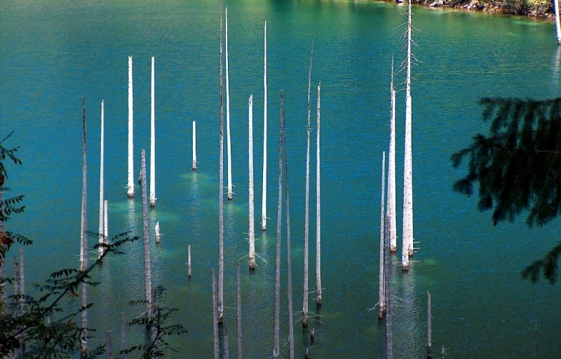 Озеро Каинды в парке Кольсай Кольдери.