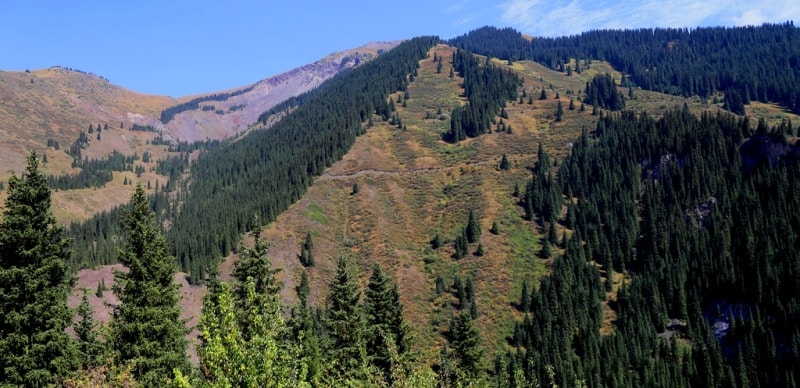  Gorge of river Kaindy.