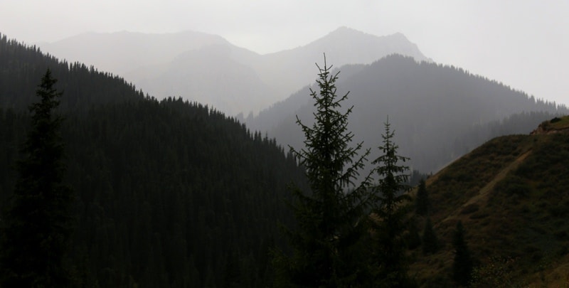  Gorge of river Kaindy.