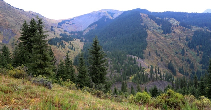  Gorge of river Kaindy.