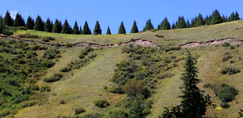  Gorge of river Kaindy.