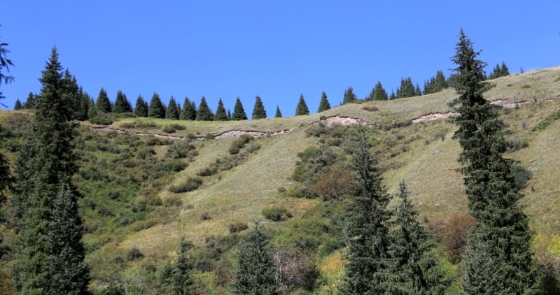 State national nature park «Kolsai lakes».