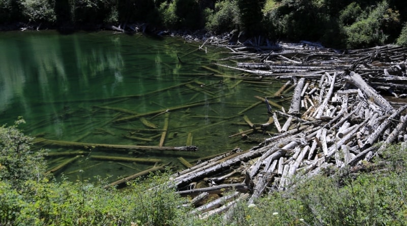 Middle Kolsay lake.