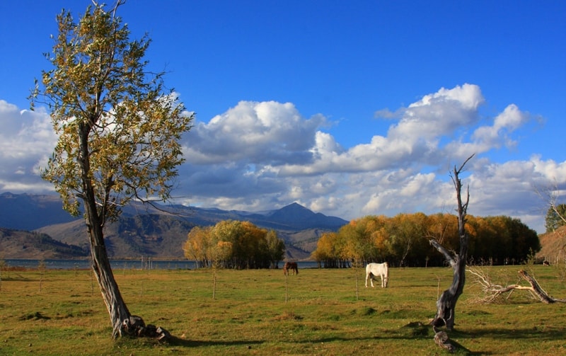 Markakol nature reserve.