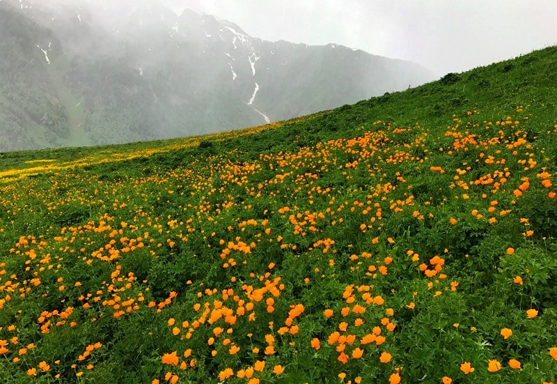 The valley Black Uzel in West Altai Reserve.