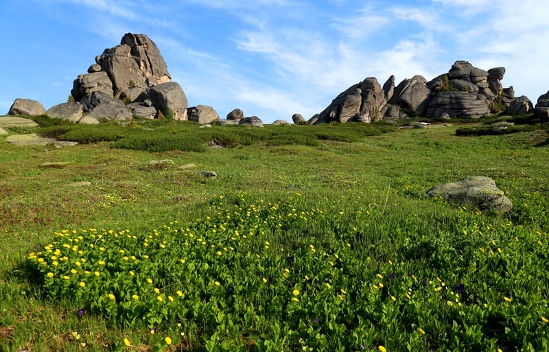 Sights of West Altai Nature Reserve.