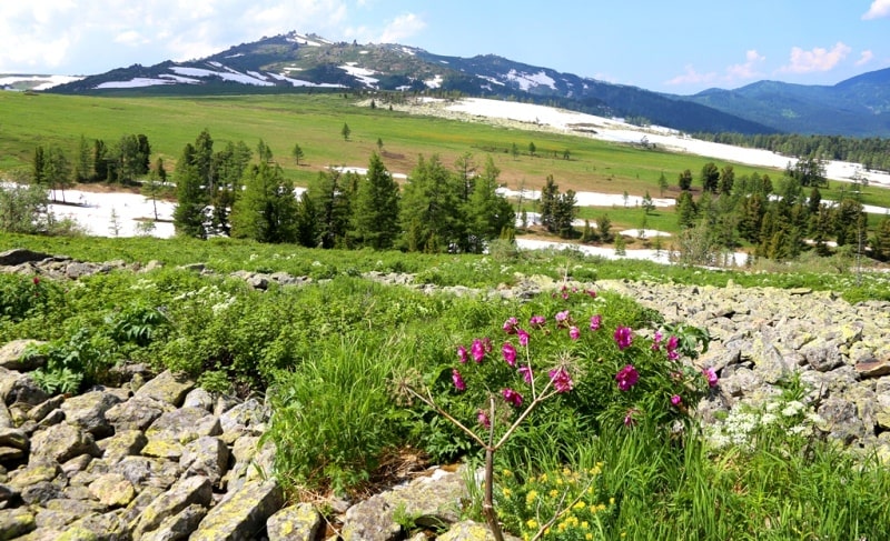 Sights of West Altai Reserve.