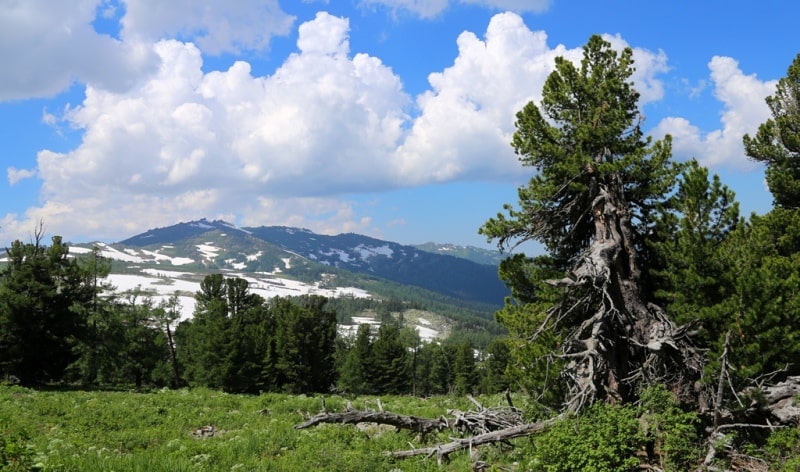 Sights of West Altai Reserve.