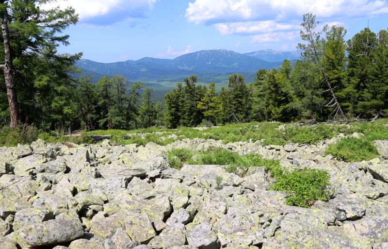 Достопримечательности Западно-Алтайского заповедника.