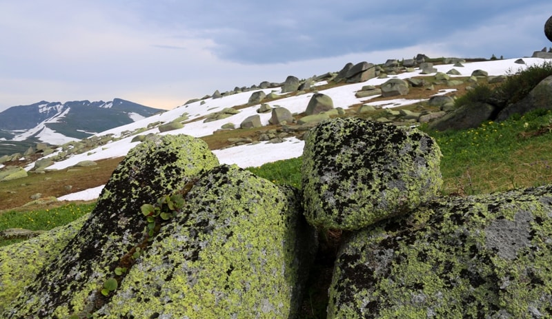 The valley the Stone fairy tale in West Altai Nature Reserve.