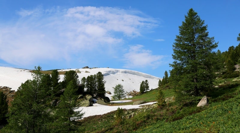 Environs in valley Monomakha Shapka in West Altai Nature Reserve.