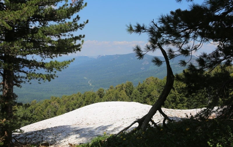 Environs in valley Monomakha Shapka in West Altai Nature Reserve.