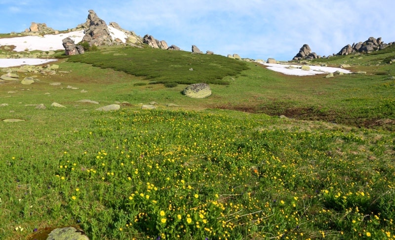 Environs in valley Monomakha Shapka in West Altai Nature Reserve.