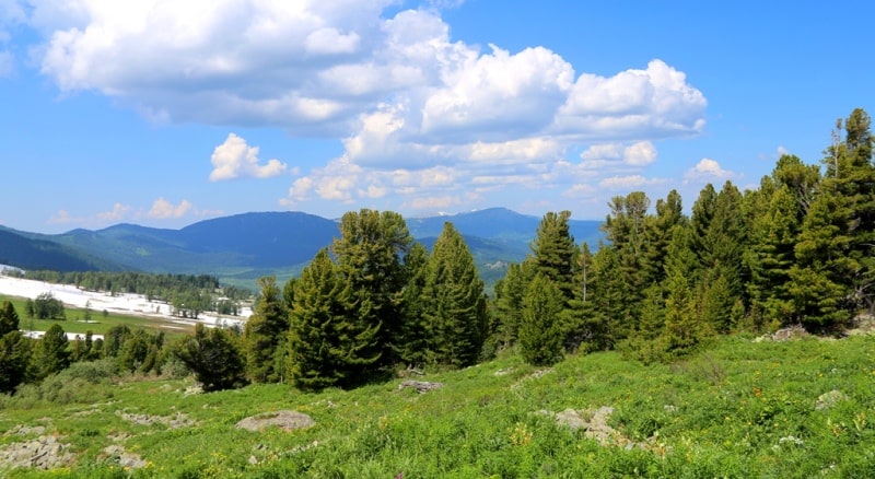 Environs in valley Monomakha Shapka in West Altai Nature Reserve.