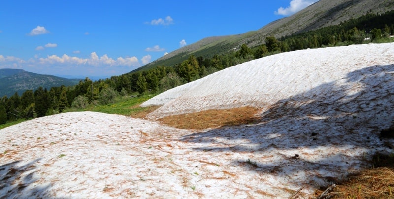 Environs in valley Monomakha Shapka in West Altai Nature Reserve.