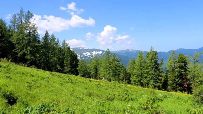 Environs in valley Monomakha Shapka in West Altai Nature Reserve.