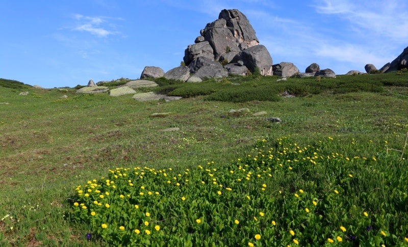 Environs in valley Monomakha Shapka in West Altai Nature Reserve.