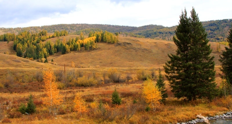Environs of West Altai Nature Reserve.